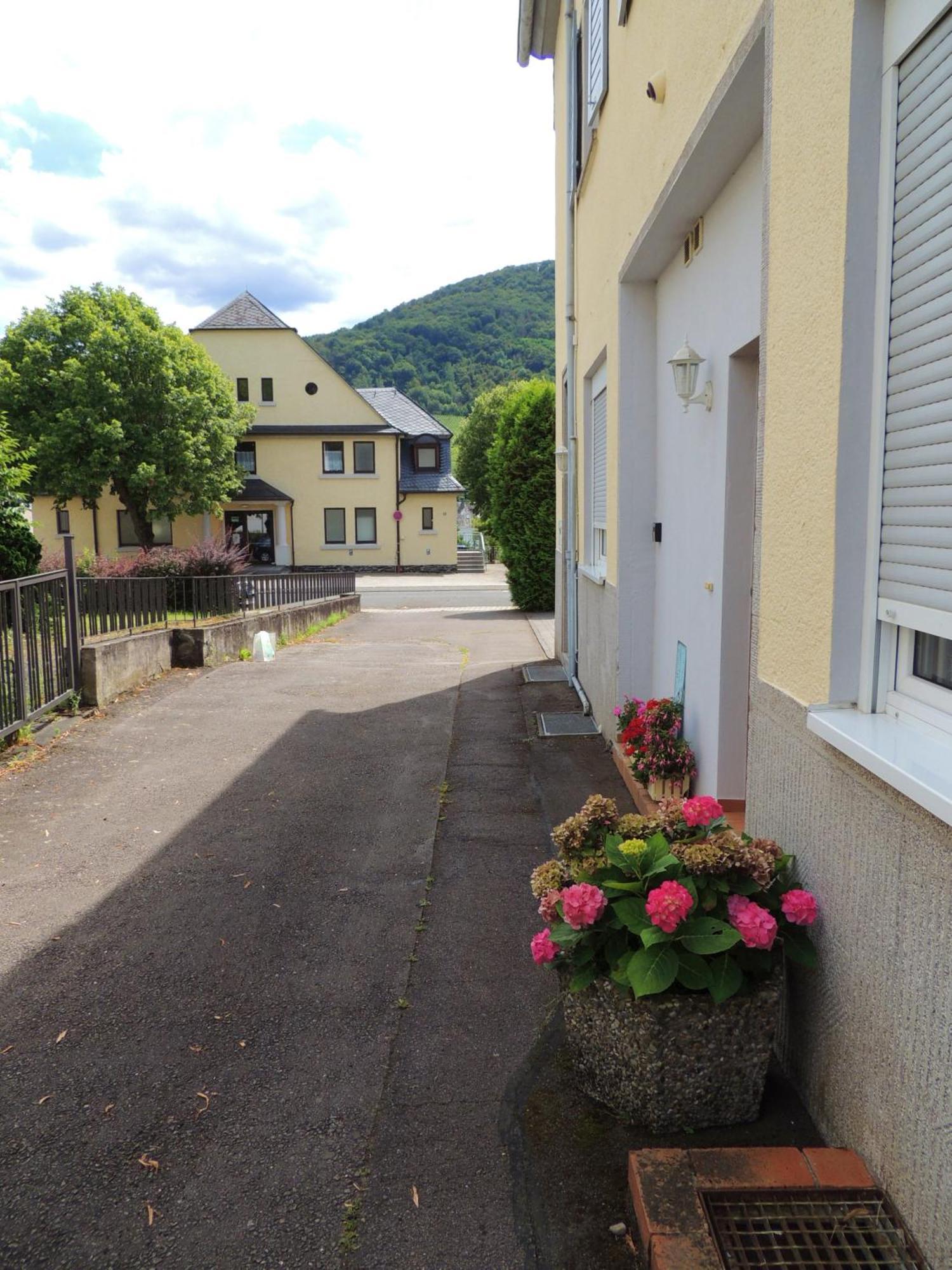 Ferienwohnung Afrika Bernkastel-Kues Zewnętrze zdjęcie
